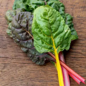 Organic Rainbow Chard, Bunch