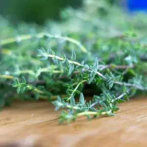 Fresh Organic Thyme Bundle