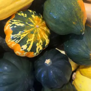 Squash, Table Queen Acorn
