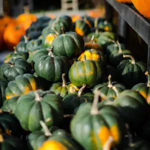 Squash, Buttercup