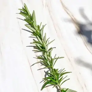 Fresh Organic Rosemary Bundle