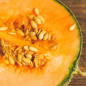 Cantaloupe, Hale's Best Jumbo